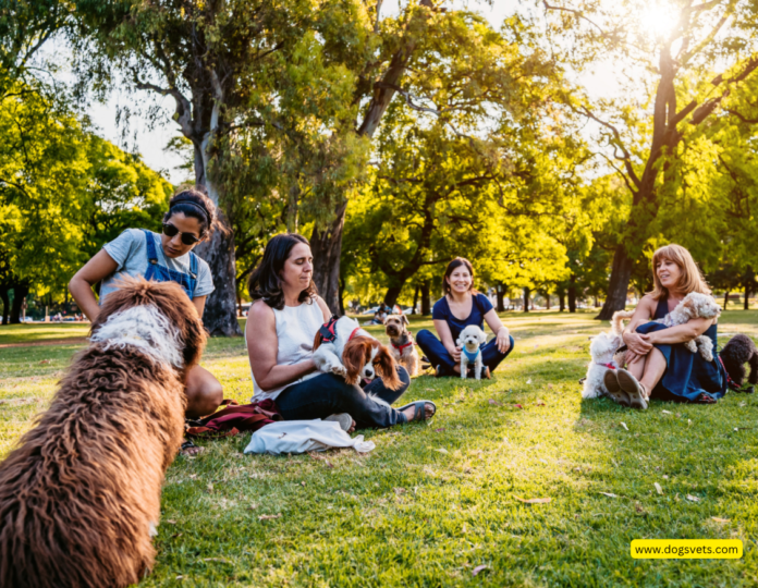 Best Dog Park in San Antonio 2024: Hops & Hounds